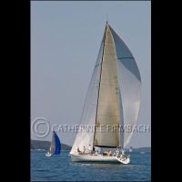 CEF8461 srgb copyrt.jpg